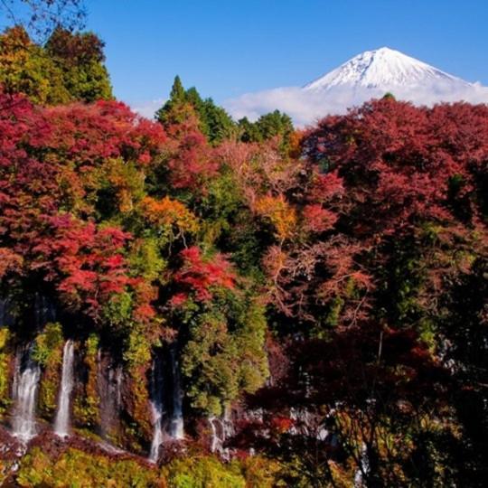 Cabin House Yado Fujinomiya Luaran gambar